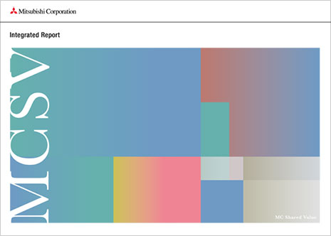 Integrated Report / Annual Report