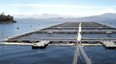 Prevention of Pollution