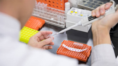 Customer Responsibility