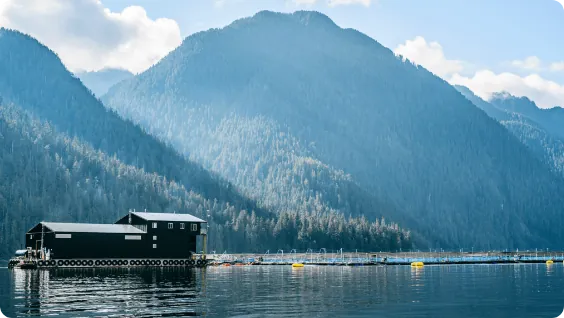 Photo of Cermaq Group AS's salmon and trout farming business.